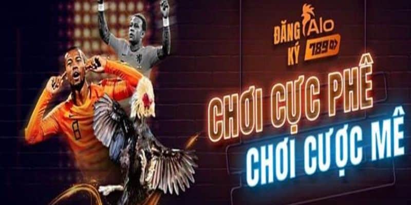 Hướng dẫn chi tiết cách đăng ký Alo789